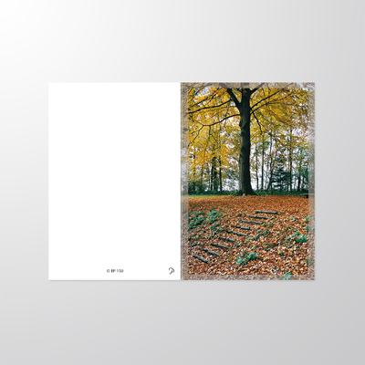 EP150P | Sterbebilder | Herbstwald | Papyrello