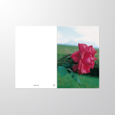 EP155P | Sterbebilder | Rose | Papyrello
