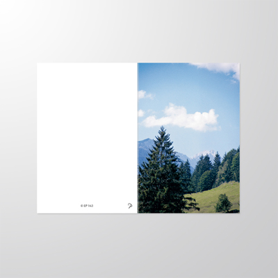 EP163P | Sterbebilder | Weide mit Wald | Papyrello
