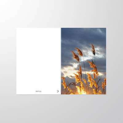 EP351P | Sterbebilder | Schilf mit Sonnenuntergang | Papyrello