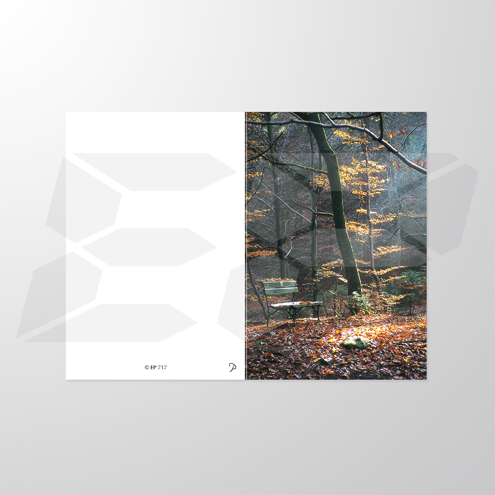 EP717P | Sterbebilder | Bank im Wald | Papyrello