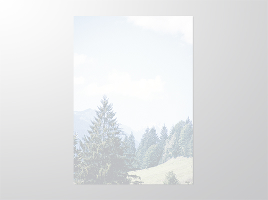 EP9042-A3 | Parte | Weide mit Wald | 4-färbig