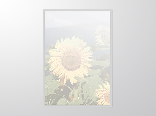 EP9222-A3 | Parte | Sonnenblume | 4-färbig