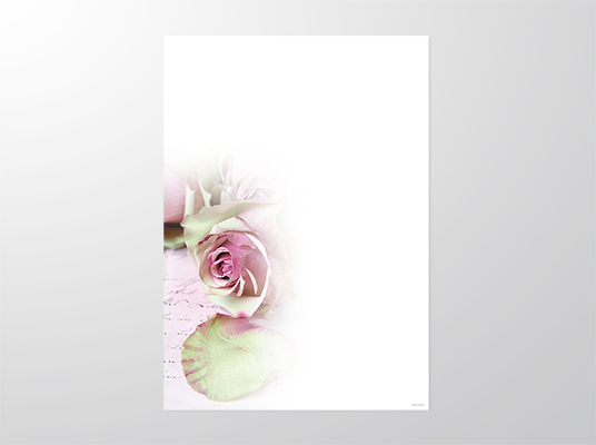 EP9234-A3 | Parte | Rose lila | 4-färbig